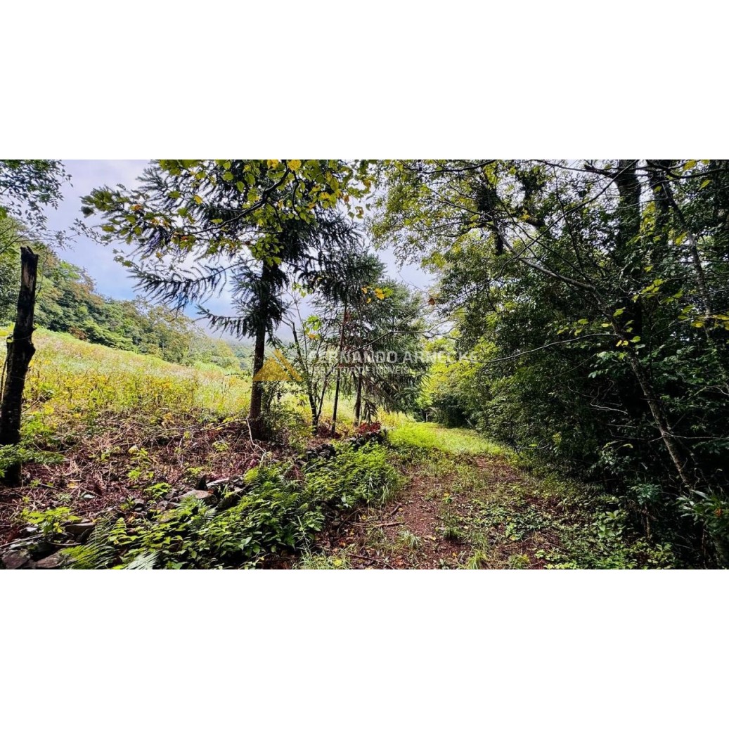 Sítio / Chácara para Venda no bairro Serra Grande em Igrejinha