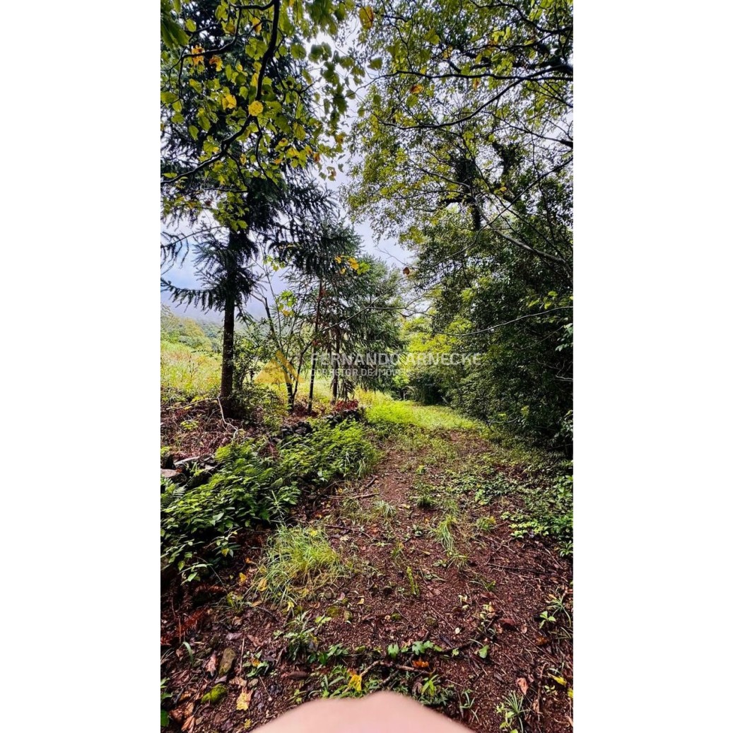 Sítio / Chácara para Venda no bairro Serra Grande em Igrejinha