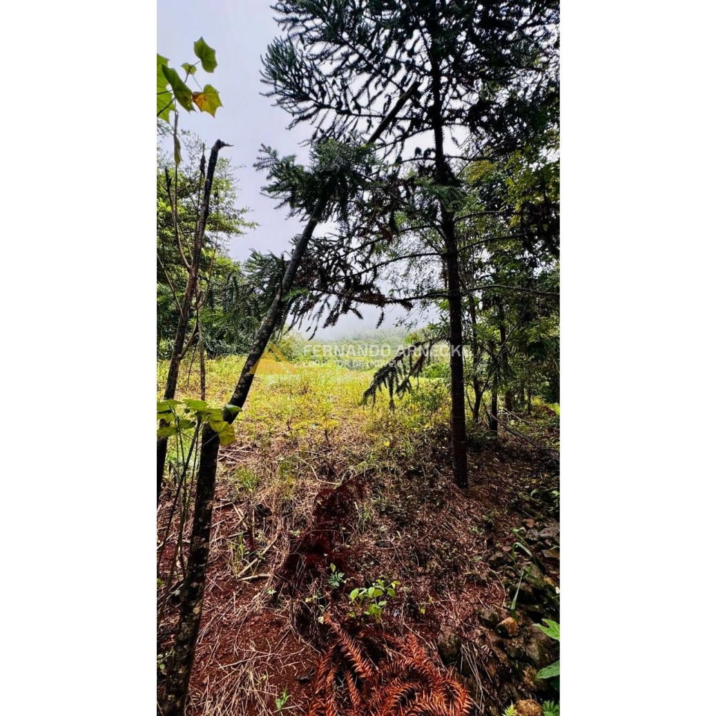 Sítio / Chácara para Venda no bairro Serra Grande em Igrejinha