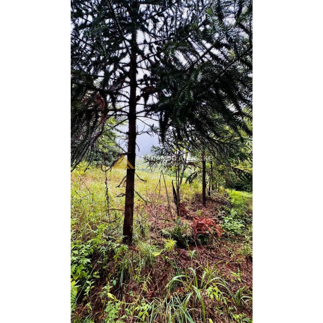 Sítio / Chácara para Venda no bairro Serra Grande em Igrejinha