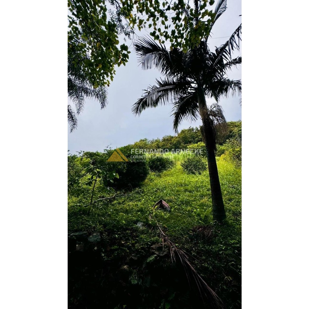 Sítio / Chácara para Venda no bairro Serra Grande em Igrejinha