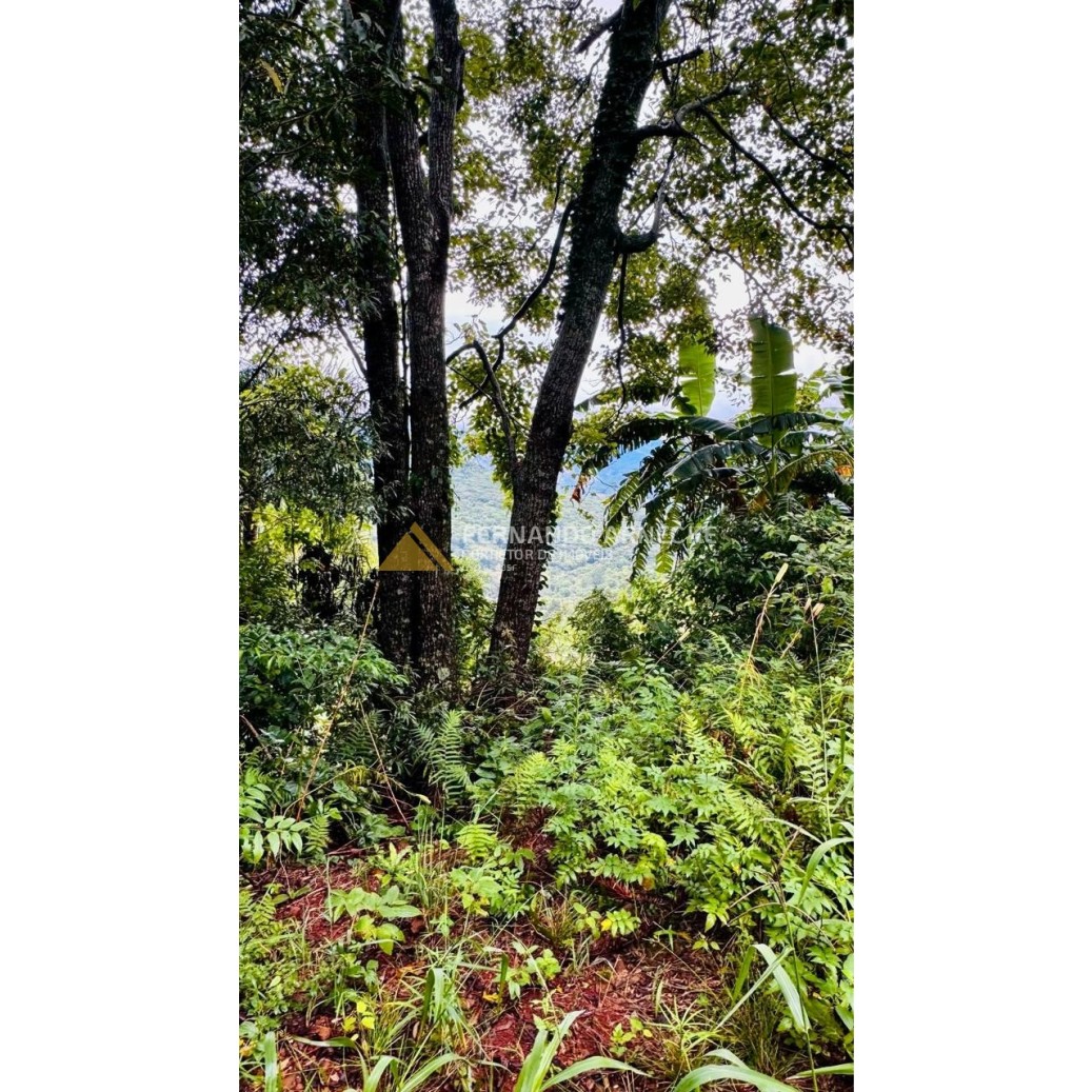 Sítio / Chácara para Venda no bairro Serra Grande em Igrejinha