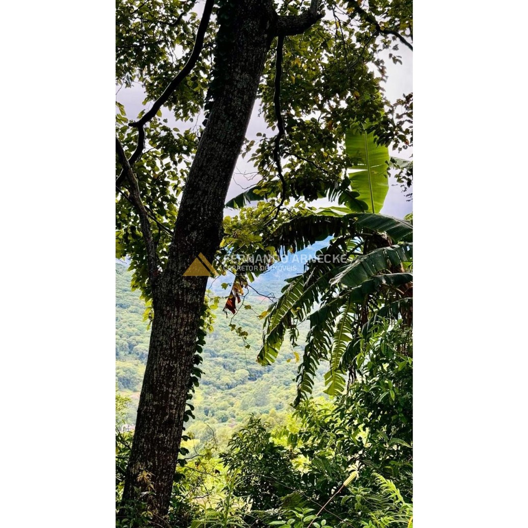 Sítio / Chácara para Venda no bairro Serra Grande em Igrejinha