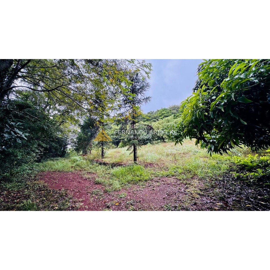 Sítio / Chácara para Venda no bairro Serra Grande em Igrejinha