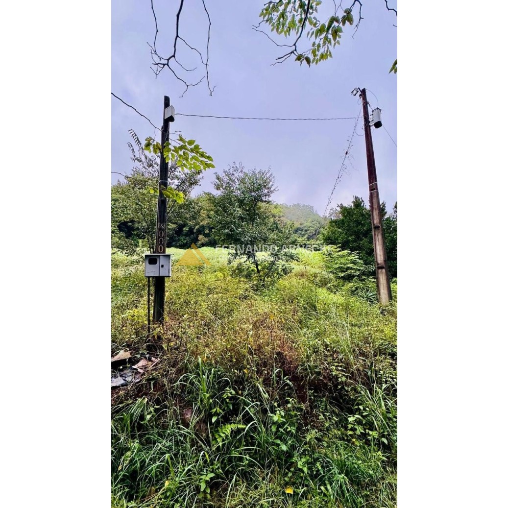Sítio / Chácara para Venda no bairro Serra Grande em Igrejinha