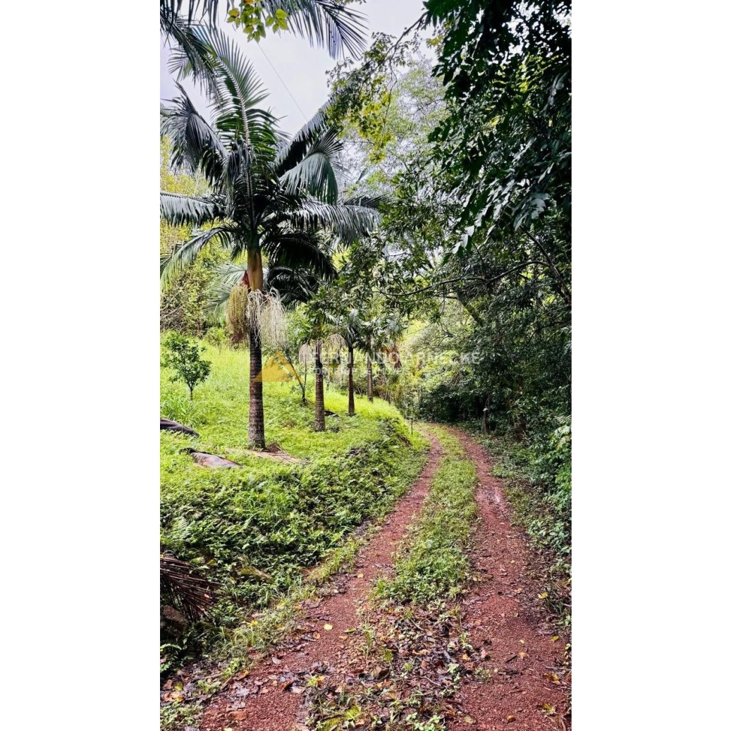 Sítio / Chácara para Venda no bairro Serra Grande em Igrejinha