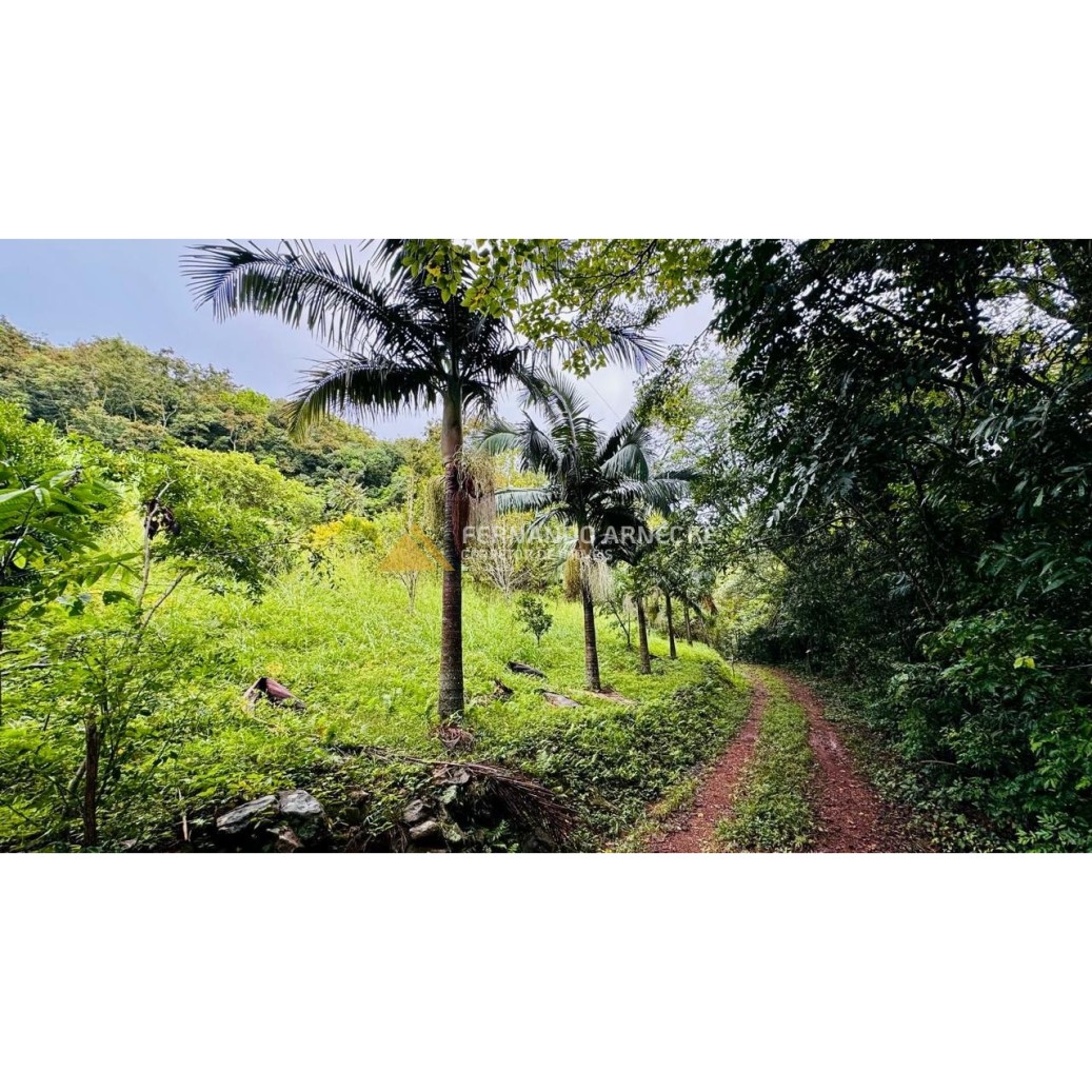 Sítio / Chácara para Venda no bairro Serra Grande em Igrejinha