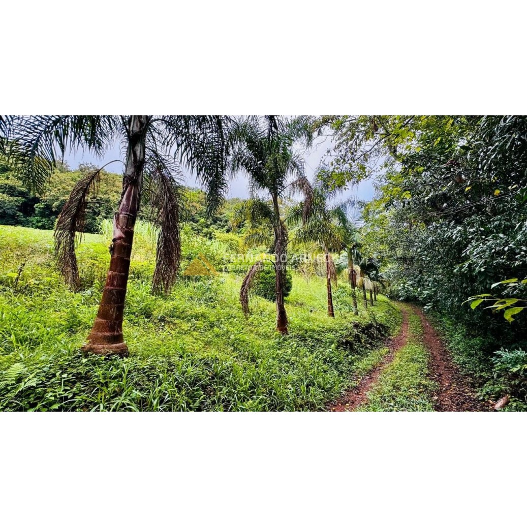 Sítio / Chácara para Venda no bairro Serra Grande em Igrejinha