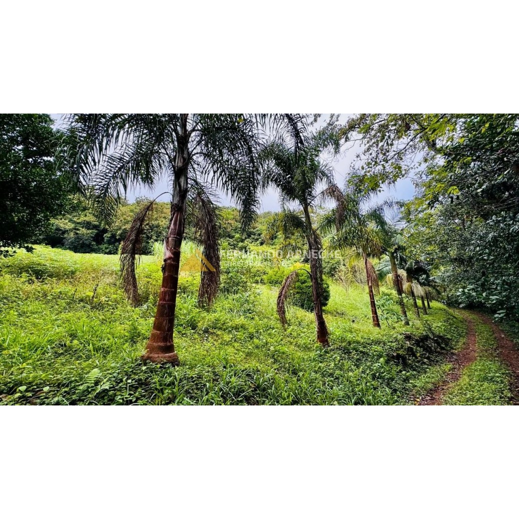 Sítio / Chácara para Venda no bairro Serra Grande em Igrejinha