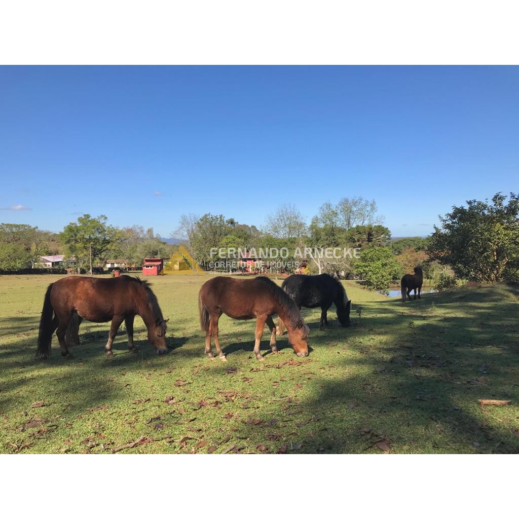 Sítio / Chácara 3 quartos para Venda no bairro Zona Rural em Dois Irmãos
