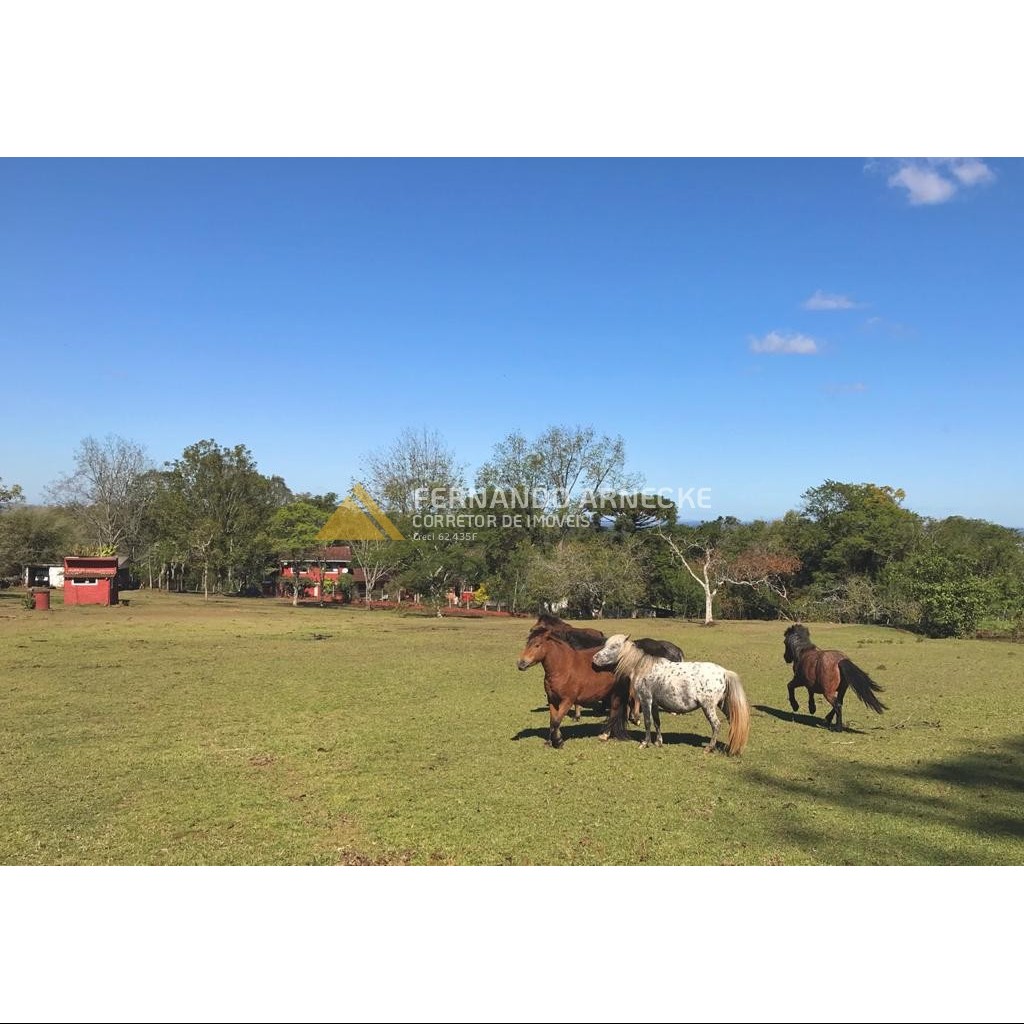Sítio / Chácara 3 quartos para Venda no bairro Zona Rural em Dois Irmãos