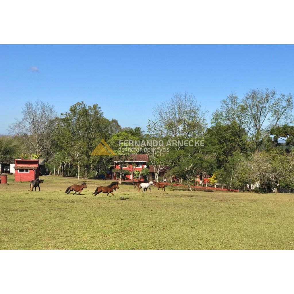 Sítio / Chácara 3 quartos para Venda no bairro Zona Rural em Dois Irmãos
