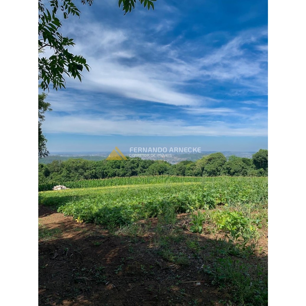Sítio / Chácara 3 quartos para Venda no bairro Zona Rural em Dois Irmãos