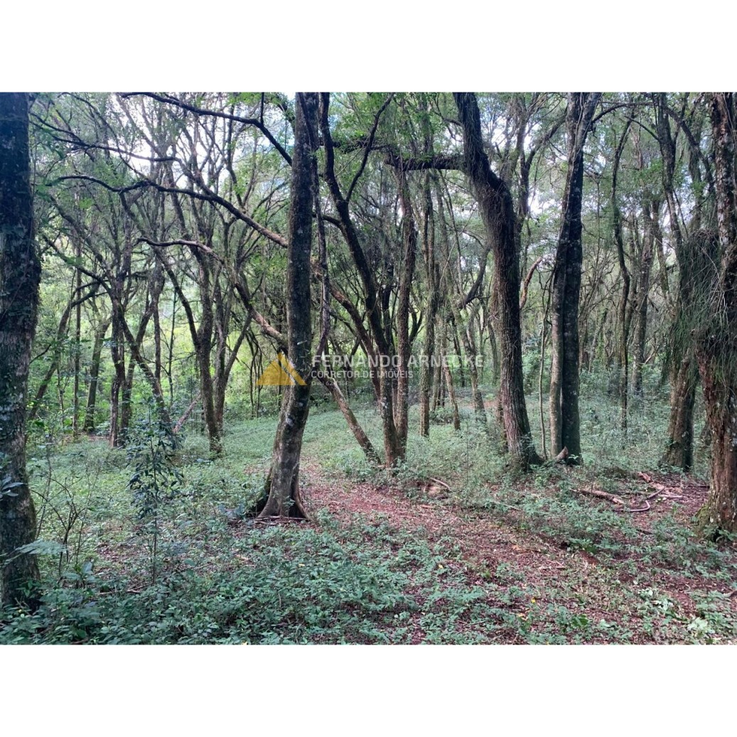 Sítio / Chácara 3 quartos para Venda no bairro Zona Rural em Dois Irmãos