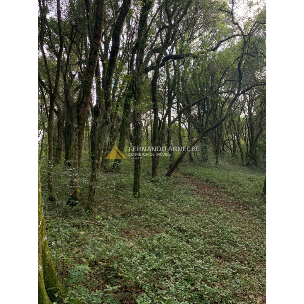 Sítio / Chácara 3 quartos para Venda no bairro Zona Rural em Dois Irmãos