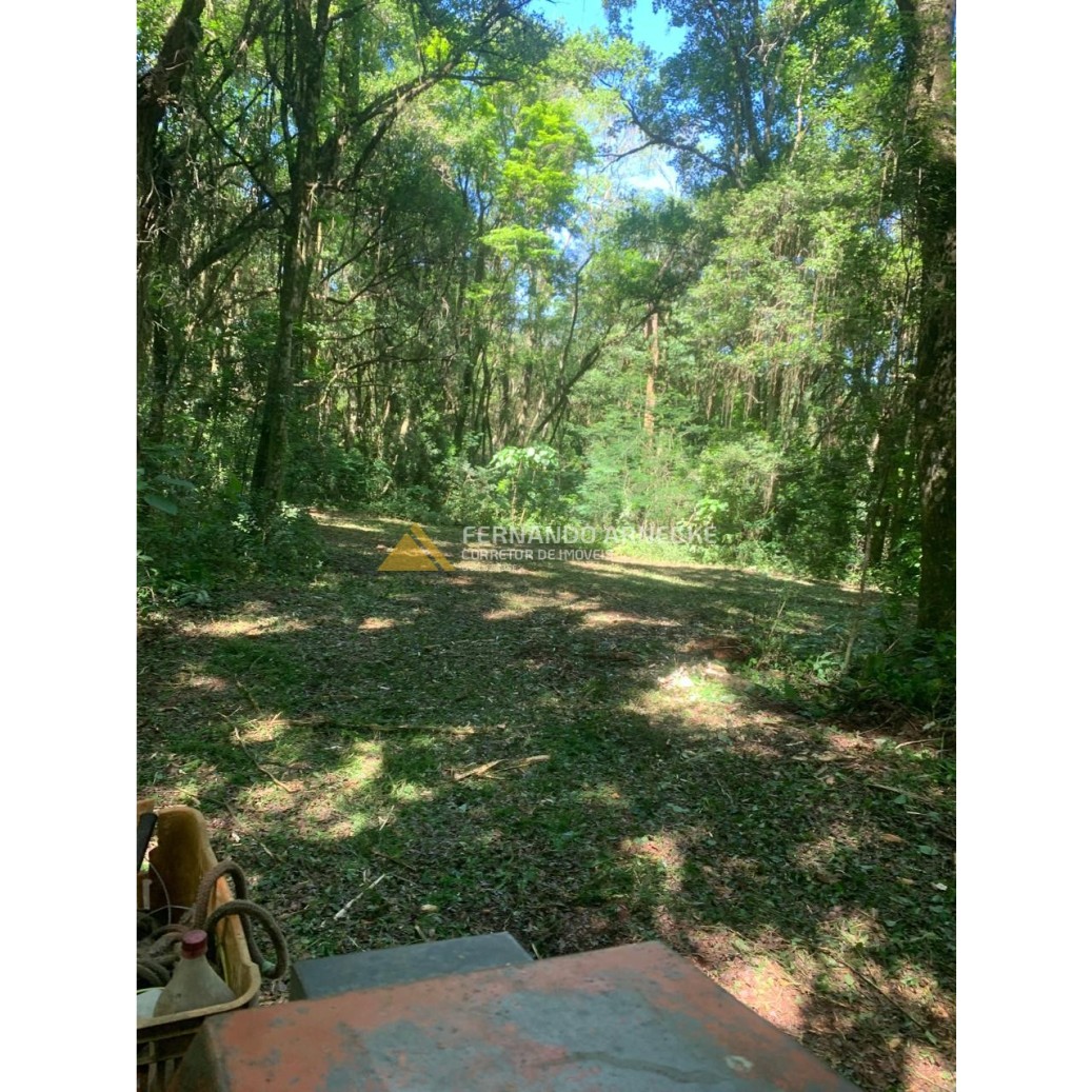 Sítio / Chácara 3 quartos para Venda no bairro Zona Rural em Dois Irmãos