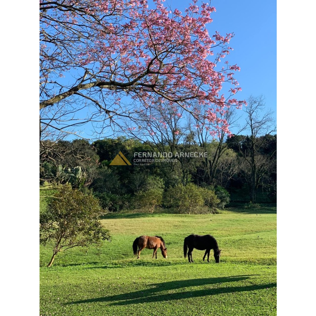 Sítio / Chácara 3 quartos para Venda no bairro Zona Rural em Dois Irmãos