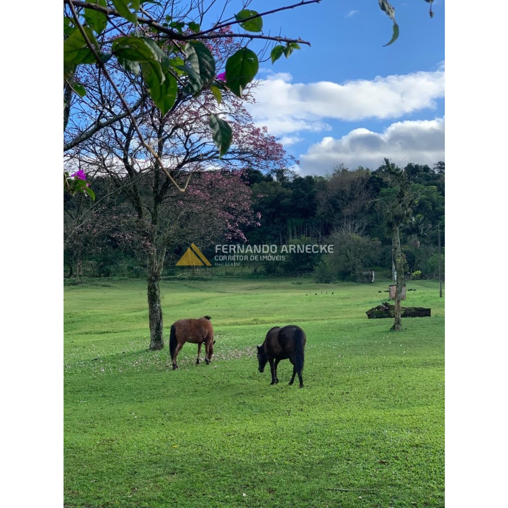 Sítio / Chácara 3 quartos para Venda no bairro Zona Rural em Dois Irmãos
