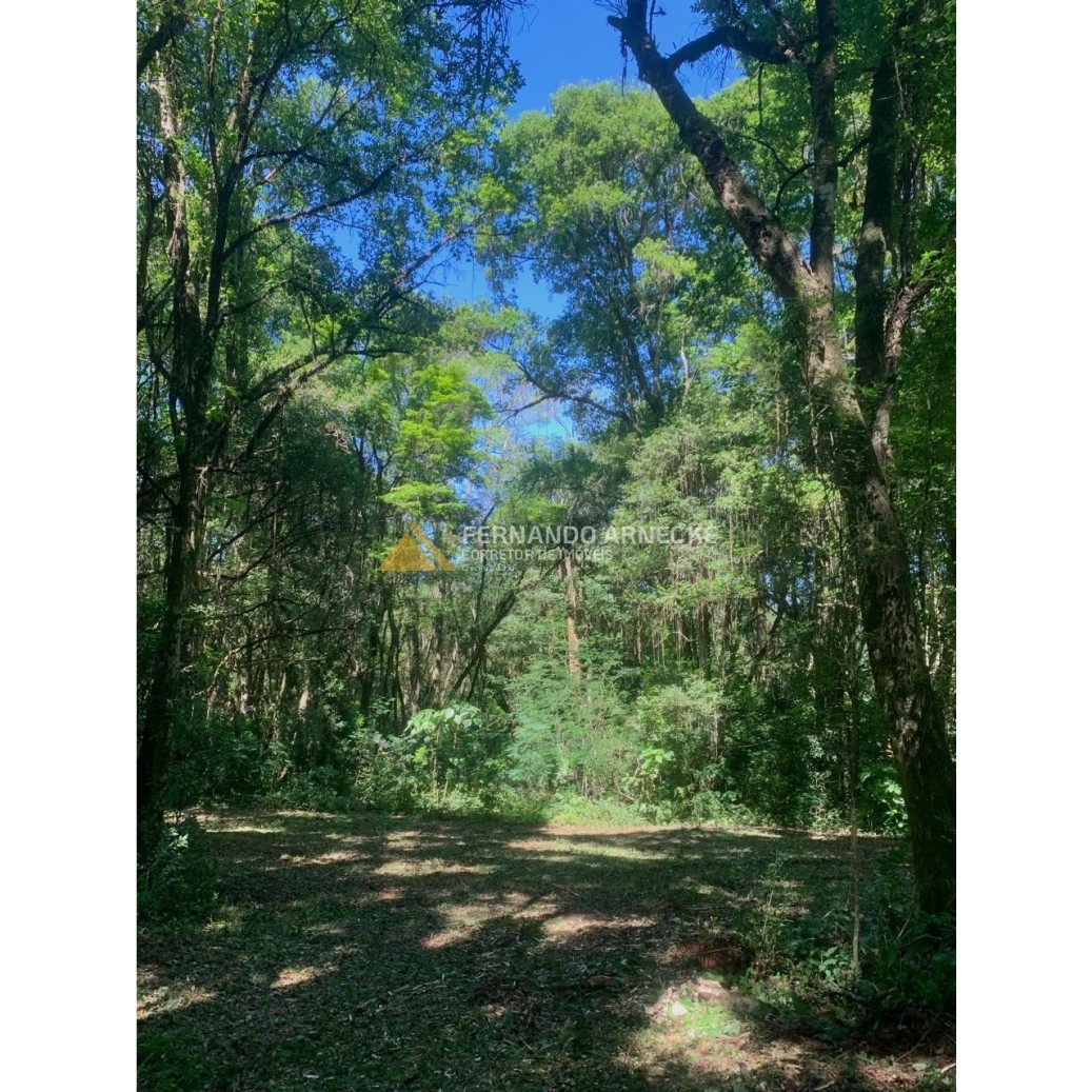 Sítio / Chácara 3 quartos para Venda no bairro Zona Rural em Dois Irmãos