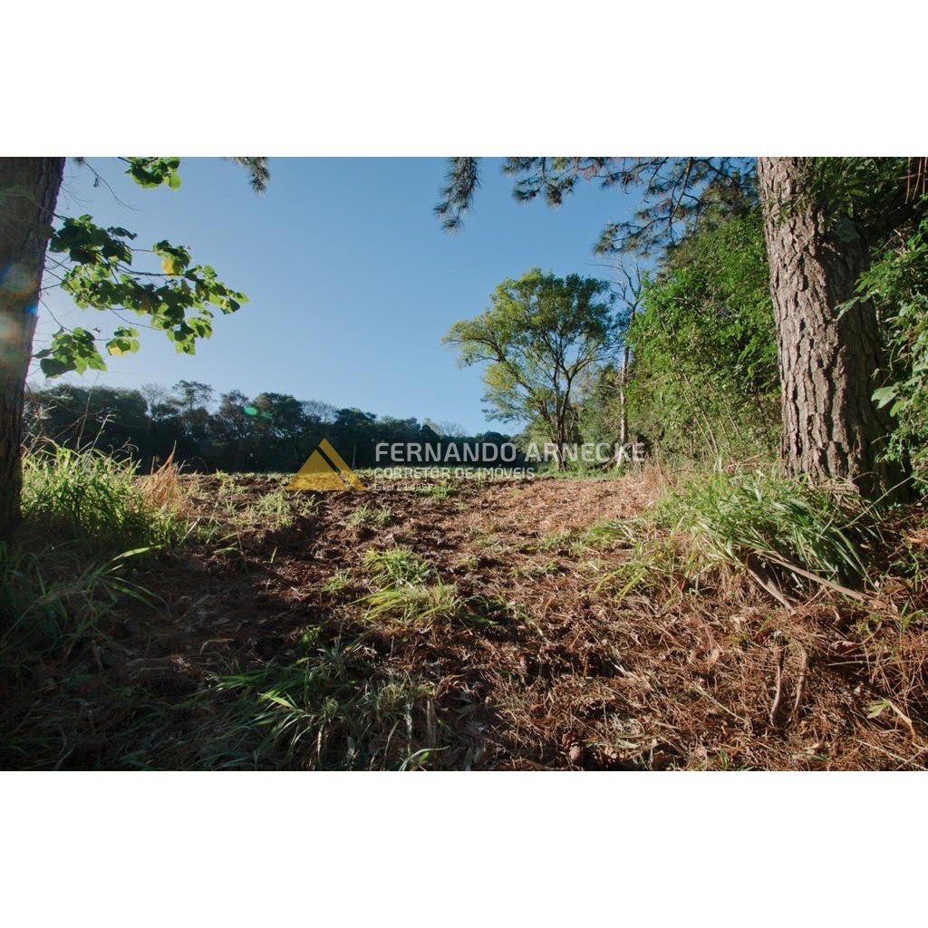 Sítio / Chácara 3 quartos para Venda no bairro Zona Rural em Dois Irmãos