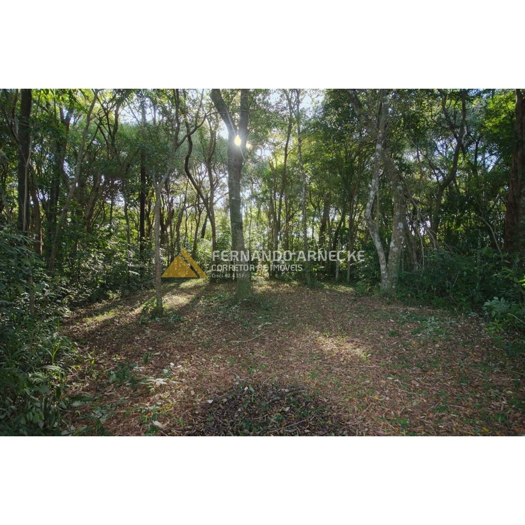 Sítio / Chácara 3 quartos para Venda no bairro Zona Rural em Dois Irmãos