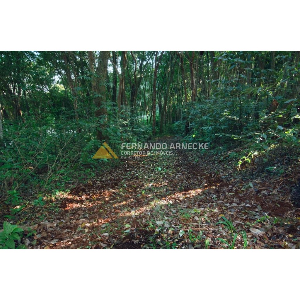 Sítio / Chácara 3 quartos para Venda no bairro Zona Rural em Dois Irmãos