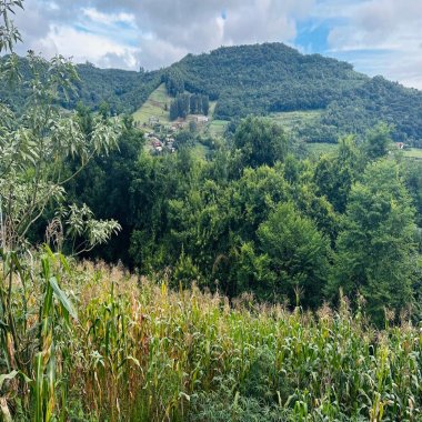 Terreno para Venda no bairro Centro em Santa Maria do Herval