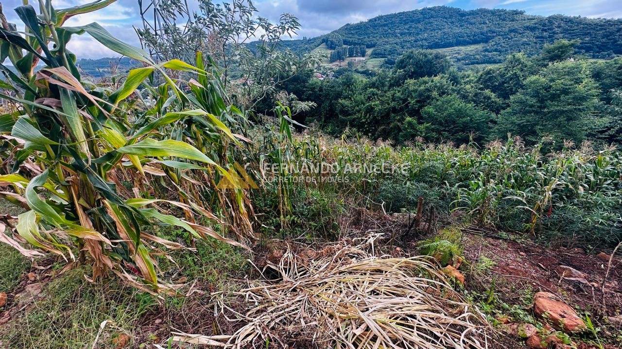 Terreno para Venda no bairro Centro em Santa Maria do Herval
