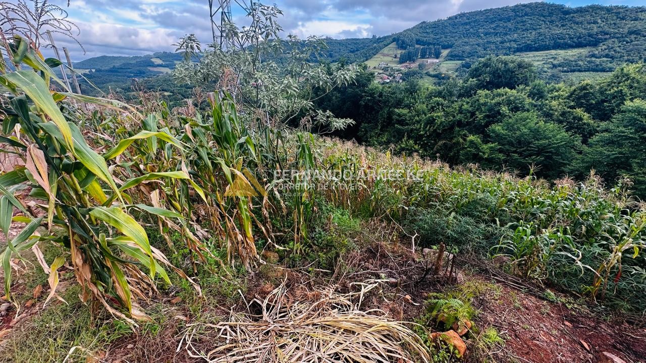Terreno para Venda no bairro Centro em Santa Maria do Herval