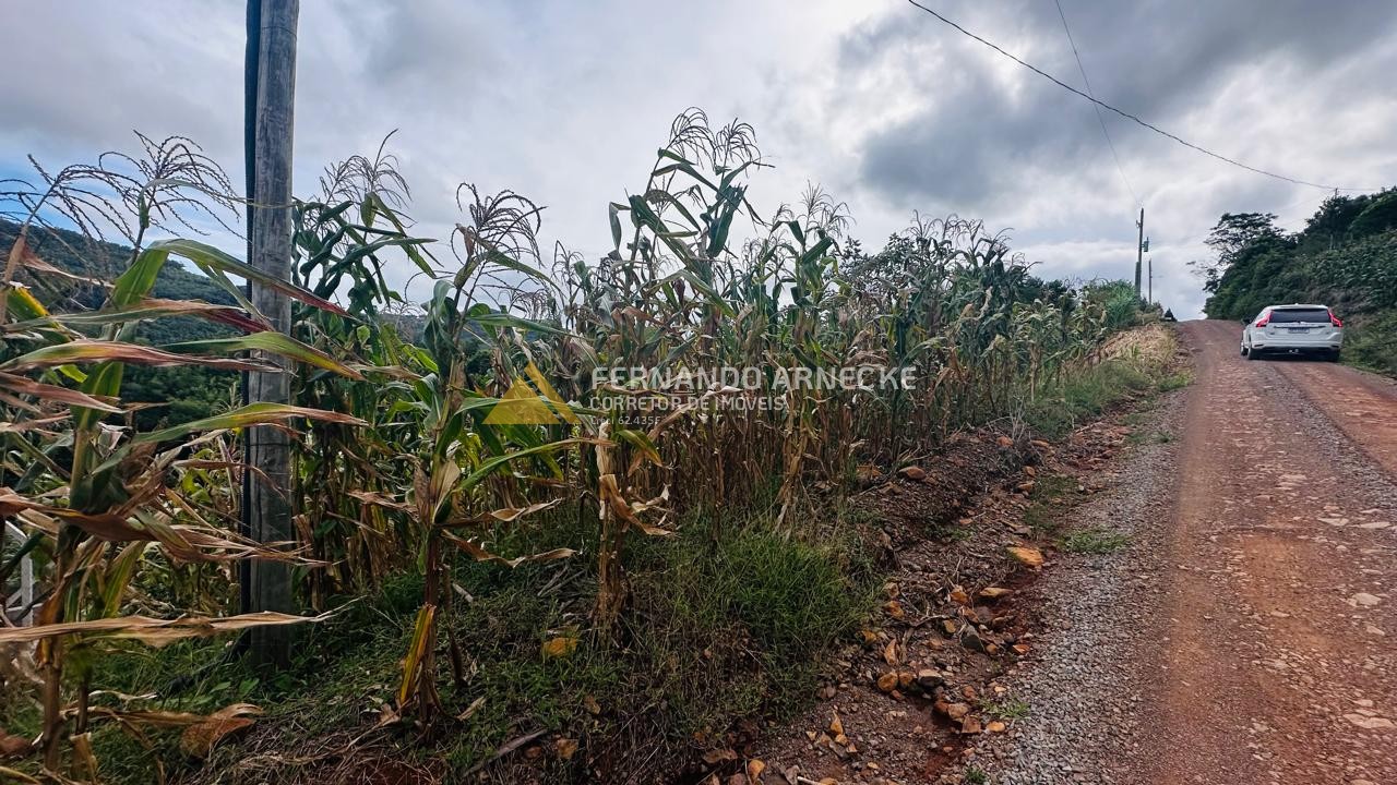 Terreno para Venda no bairro Centro em Santa Maria do Herval