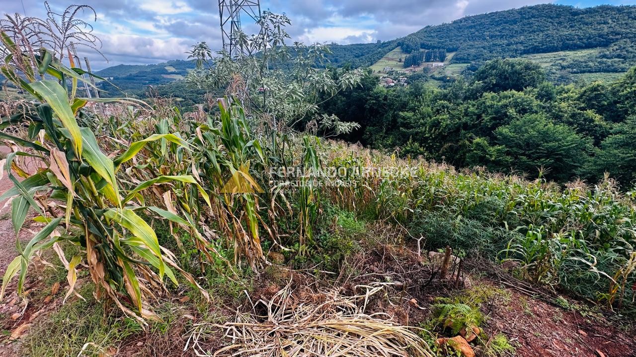 Terreno para Venda no bairro Centro em Santa Maria do Herval