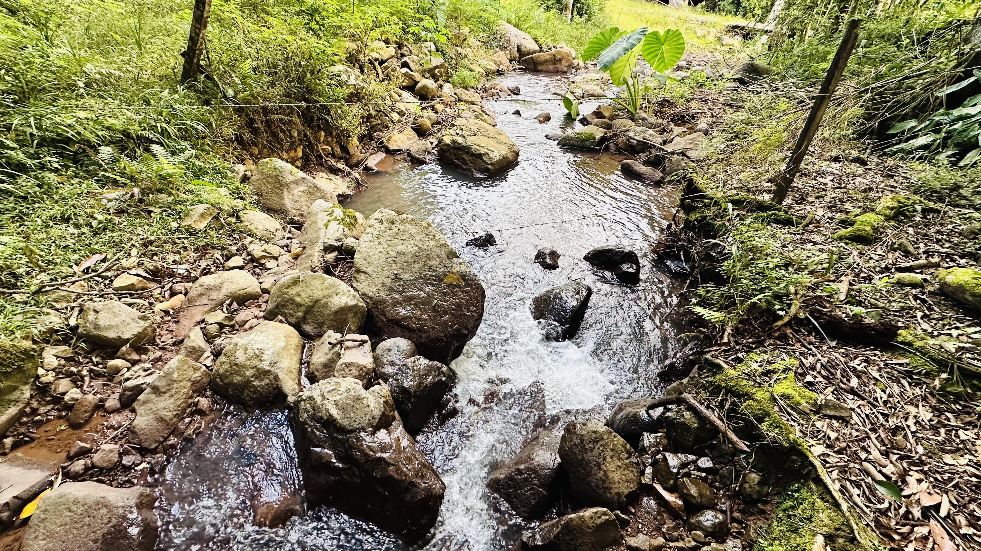 Sítio com Riacho em Solitária Baixa na Cidade de Igrejinha/RS