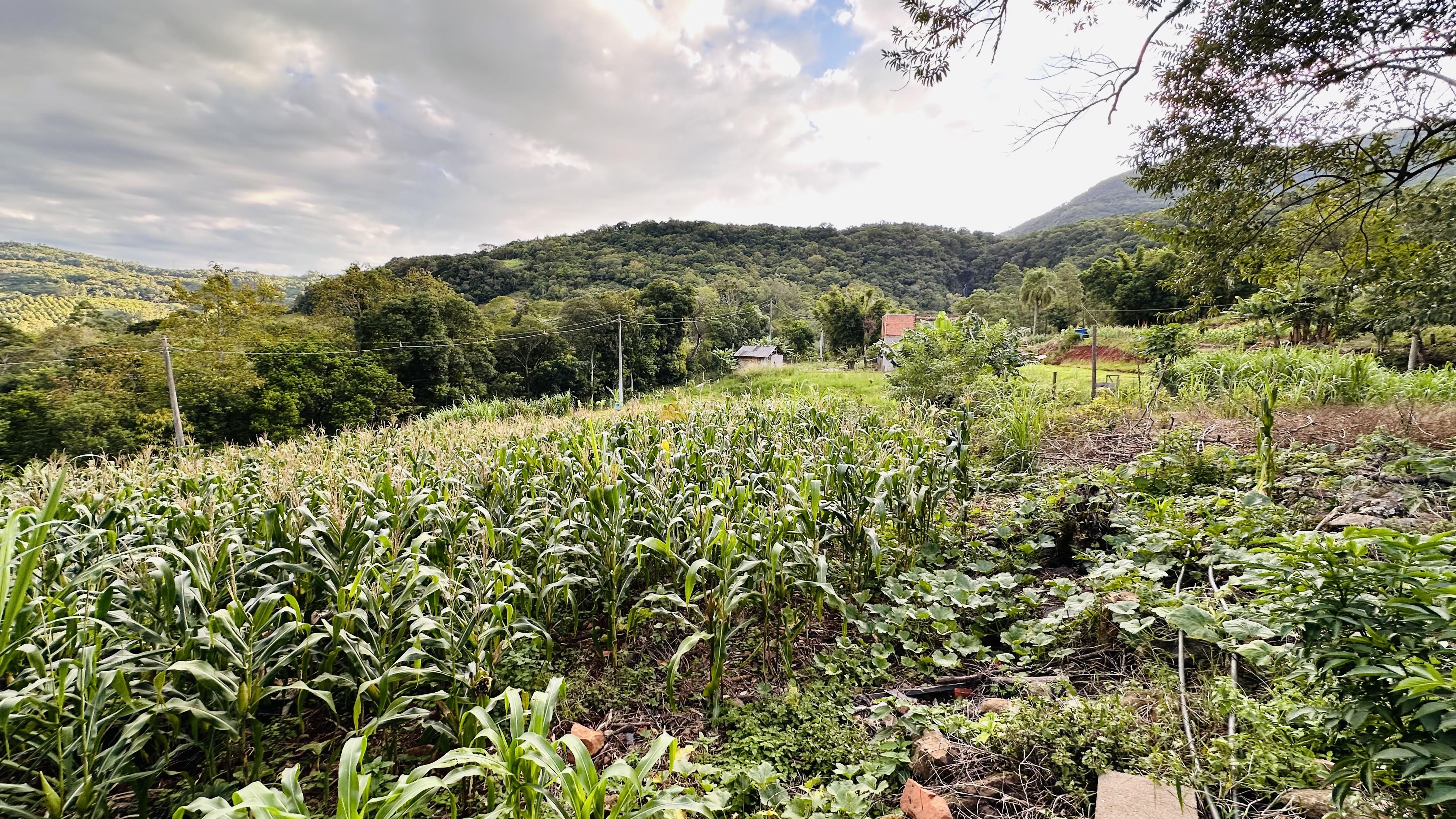 Sítio com Riacho em Solitária Baixa na Cidade de Igrejinha/RS