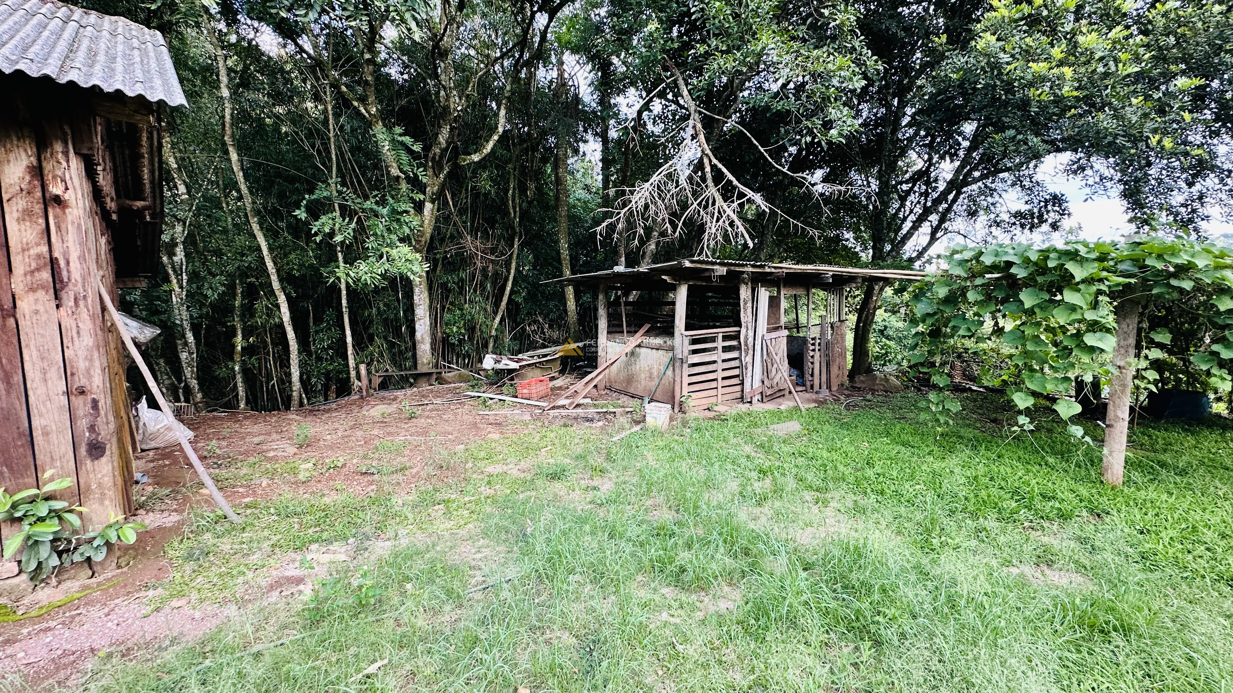 Sítio com Riacho em Solitária Baixa na Cidade de Igrejinha/RS