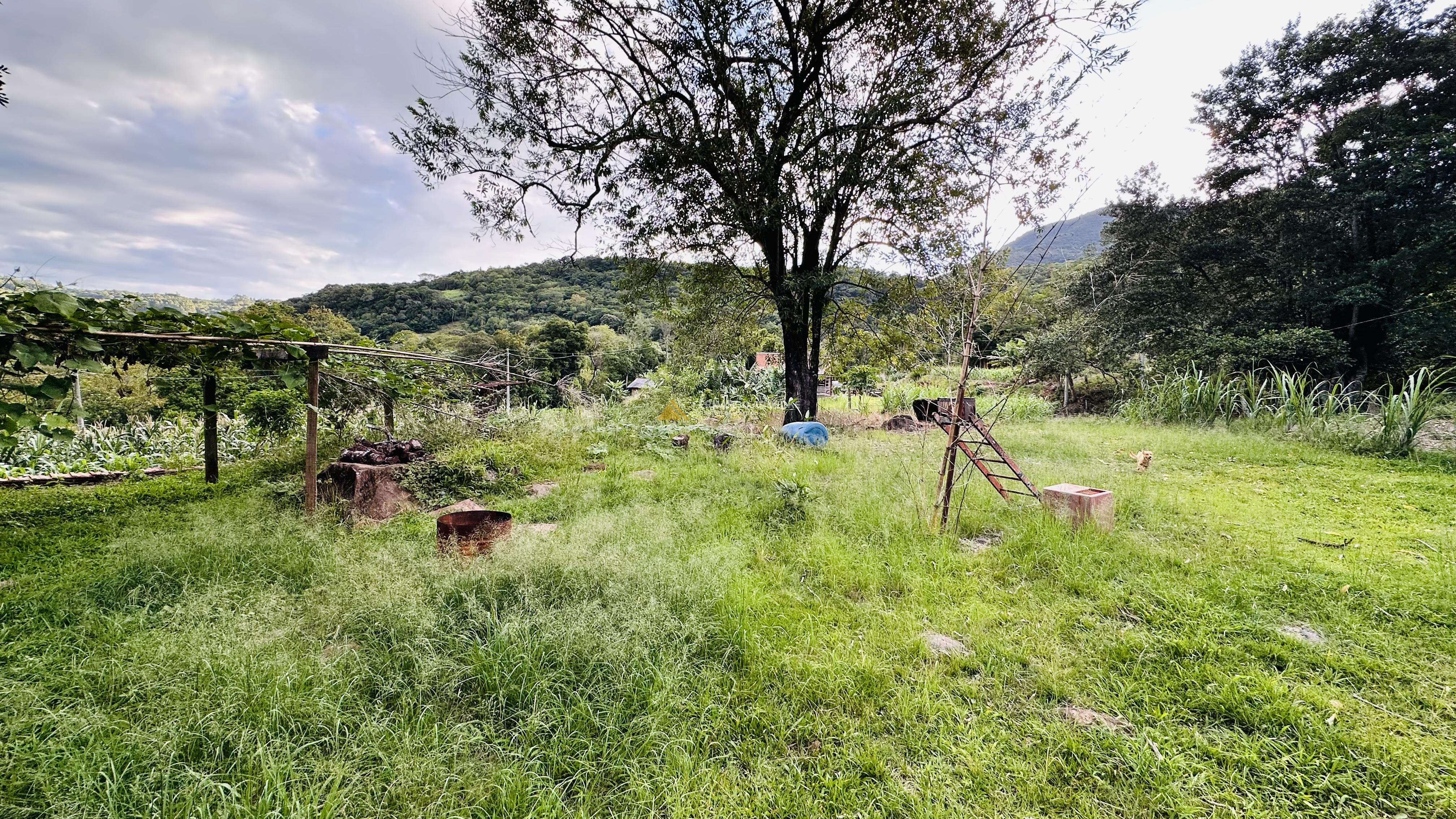 Sítio com Riacho em Solitária Baixa na Cidade de Igrejinha/RS