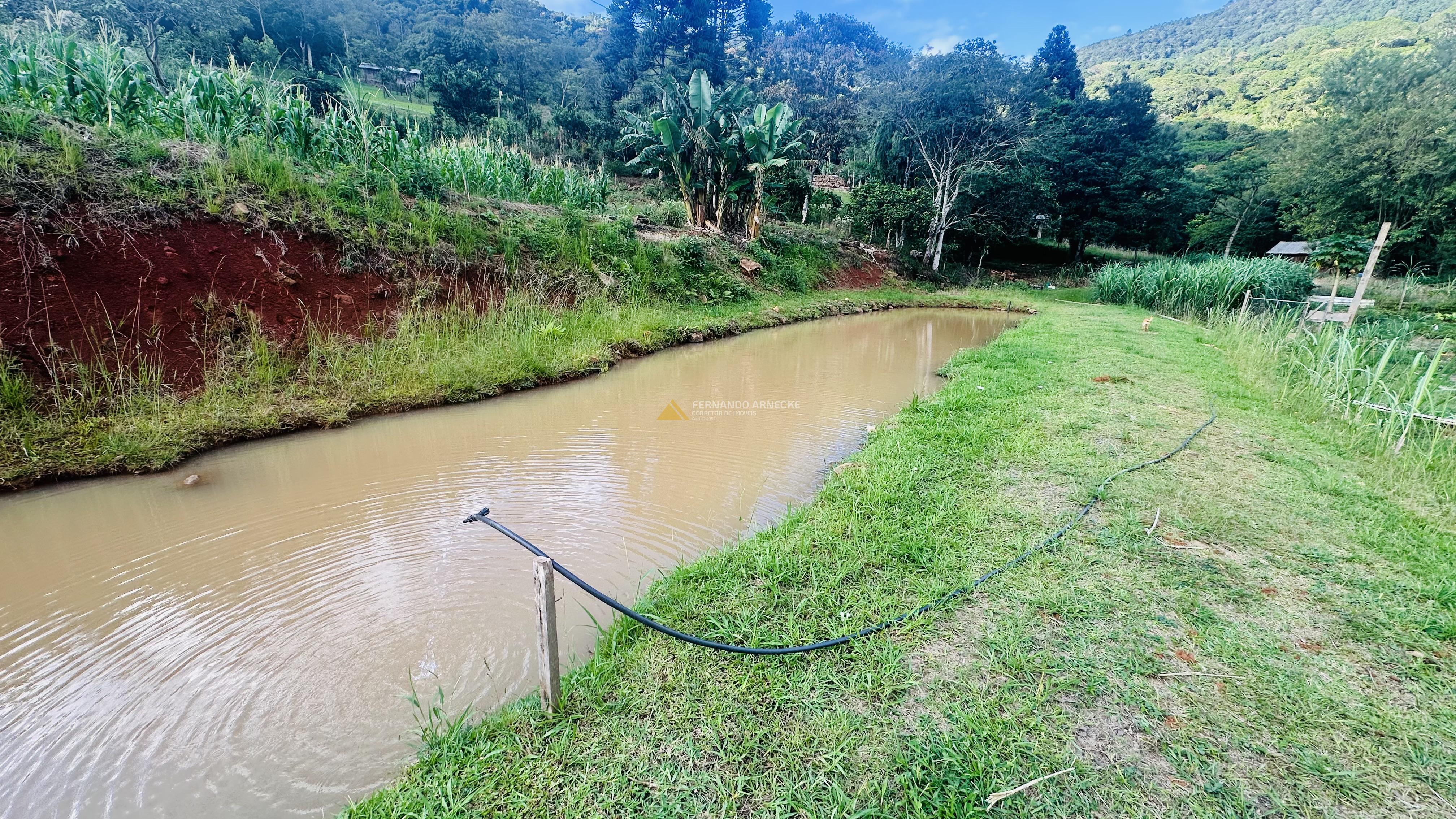 Sítio com Riacho em Solitária Baixa na Cidade de Igrejinha/RS