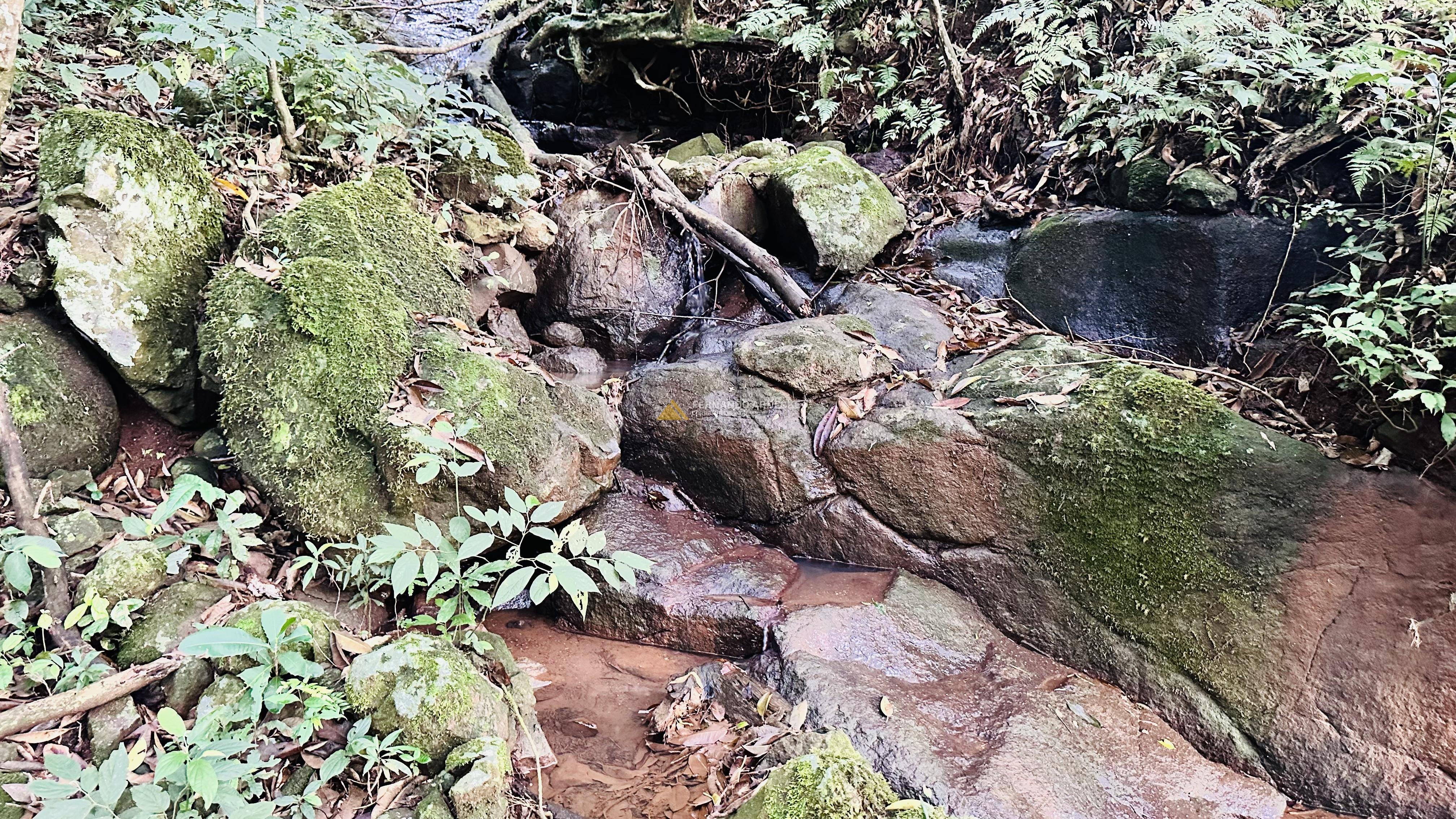 Sítio com Riacho em Solitária Baixa na Cidade de Igrejinha/RS
