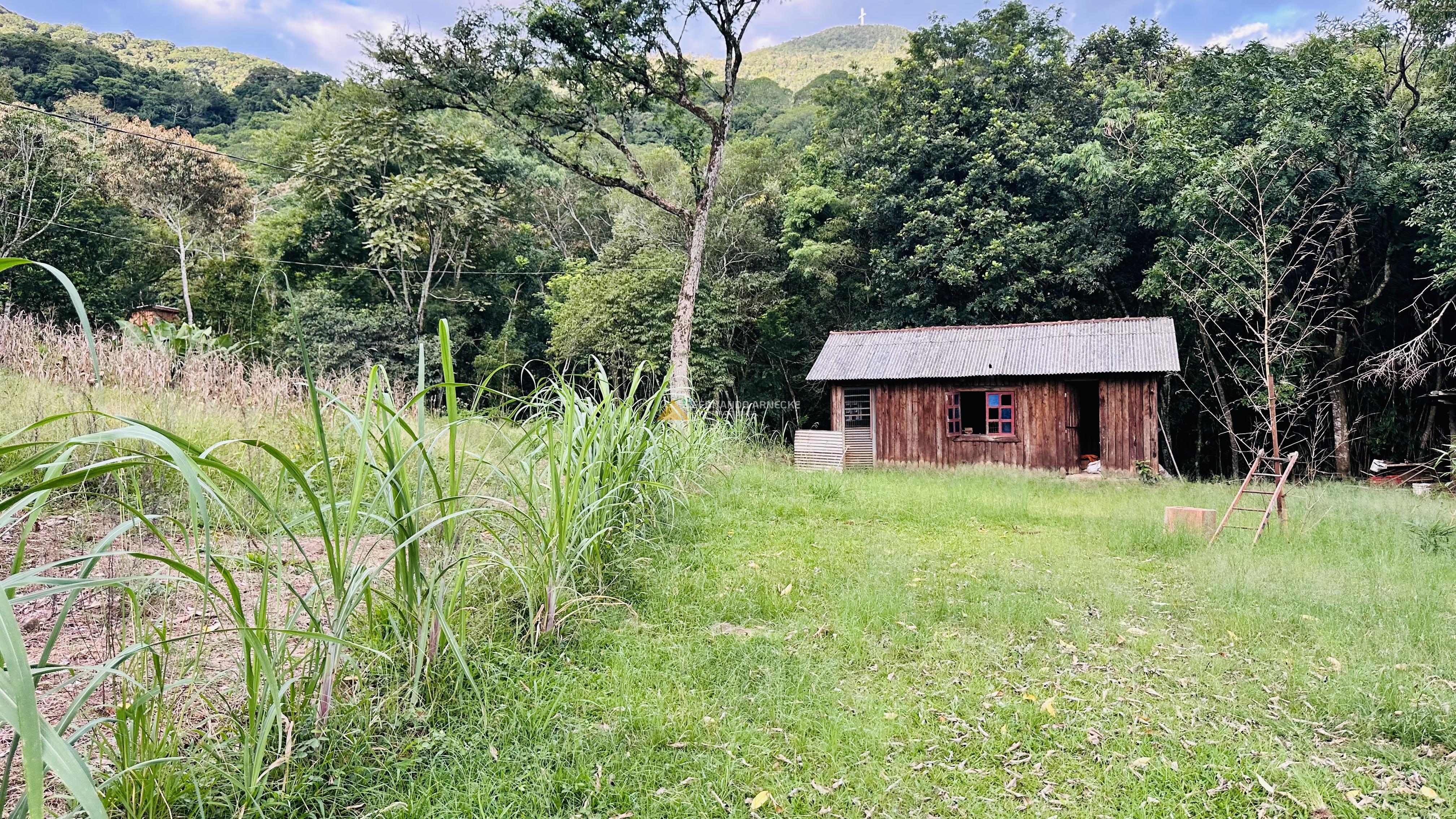 Sítio com Riacho em Solitária Baixa na Cidade de Igrejinha/RS