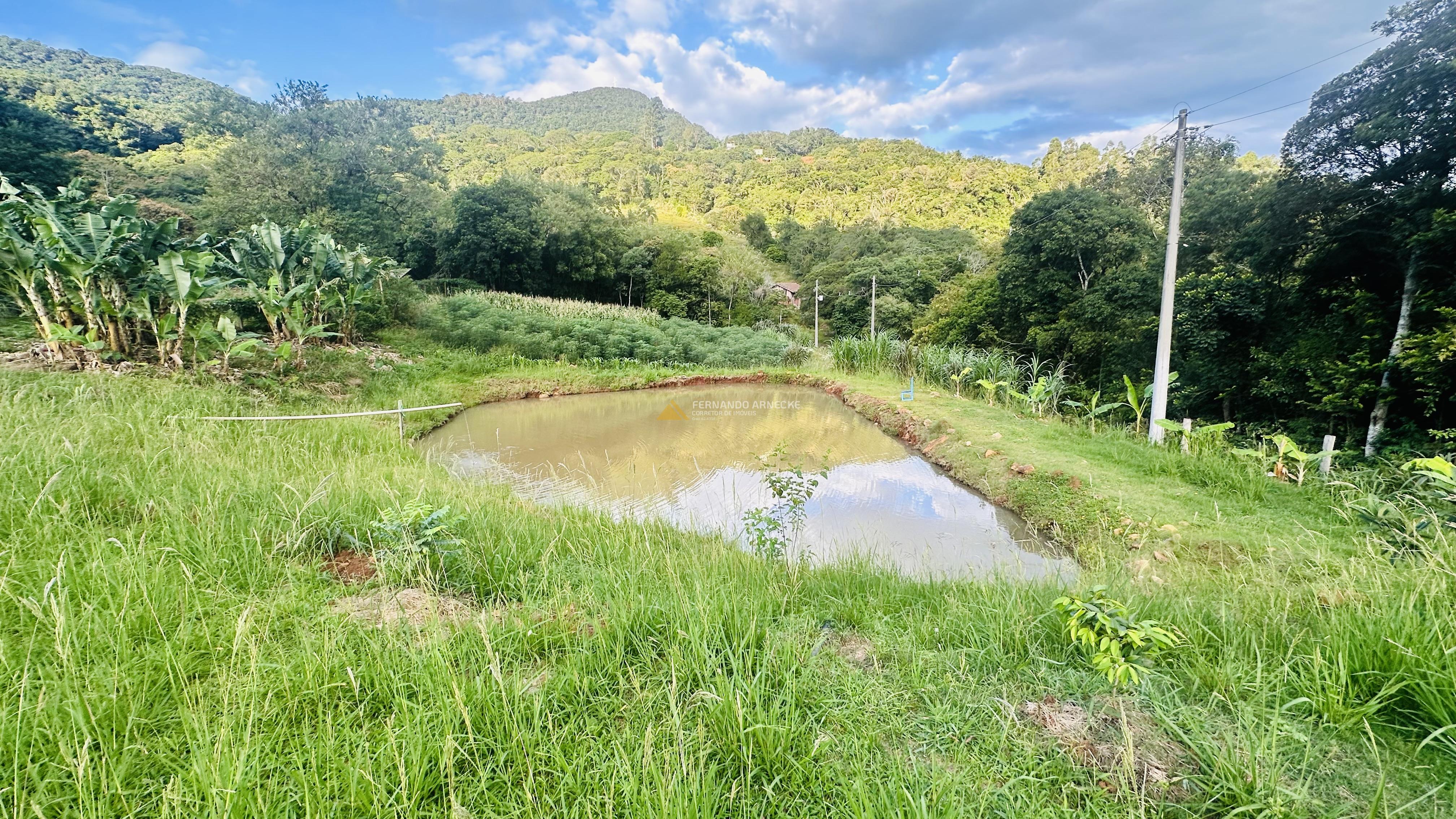Sítio com Riacho em Solitária Baixa na Cidade de Igrejinha/RS