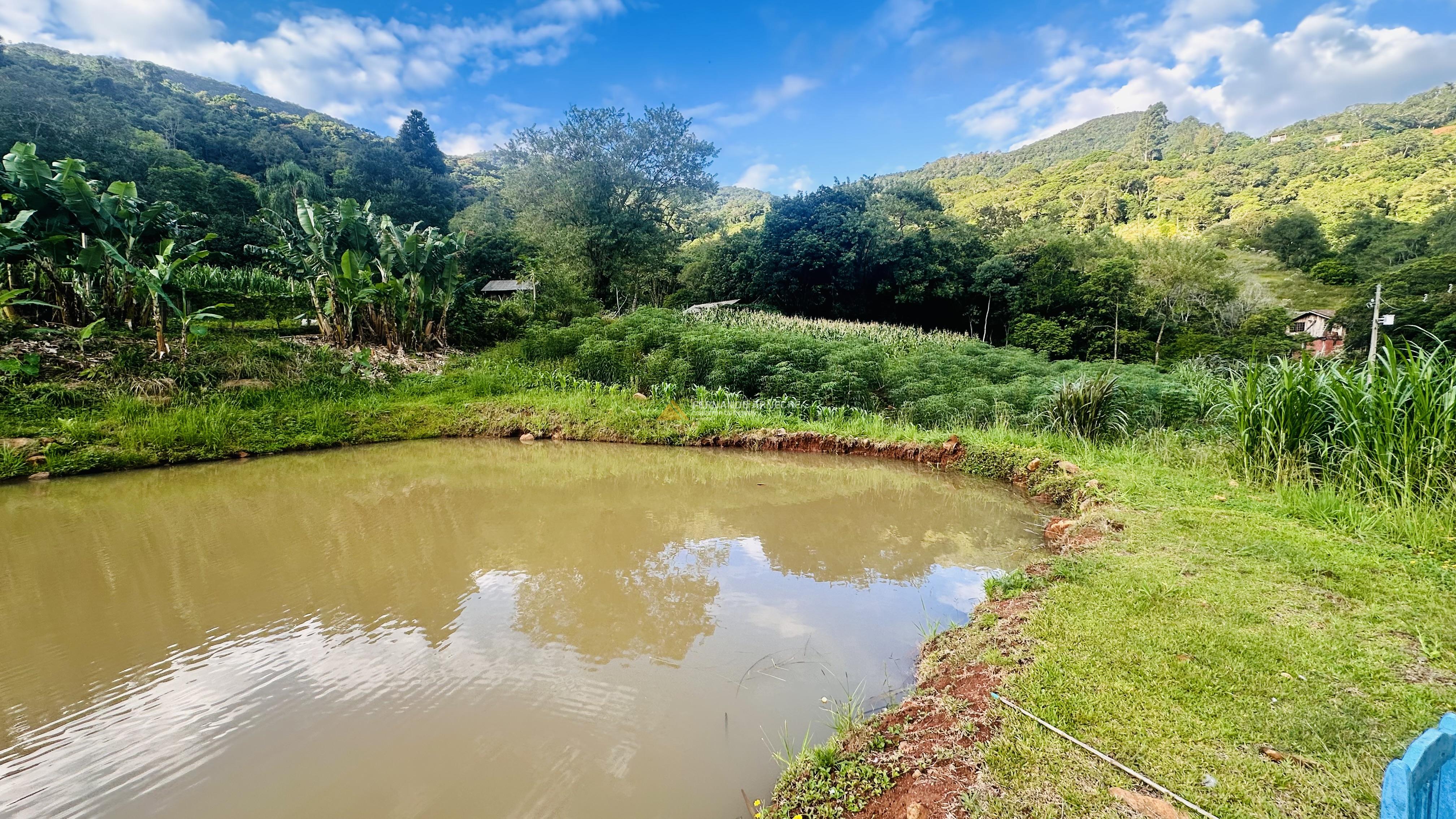 Sítio com Riacho em Solitária Baixa na Cidade de Igrejinha/RS