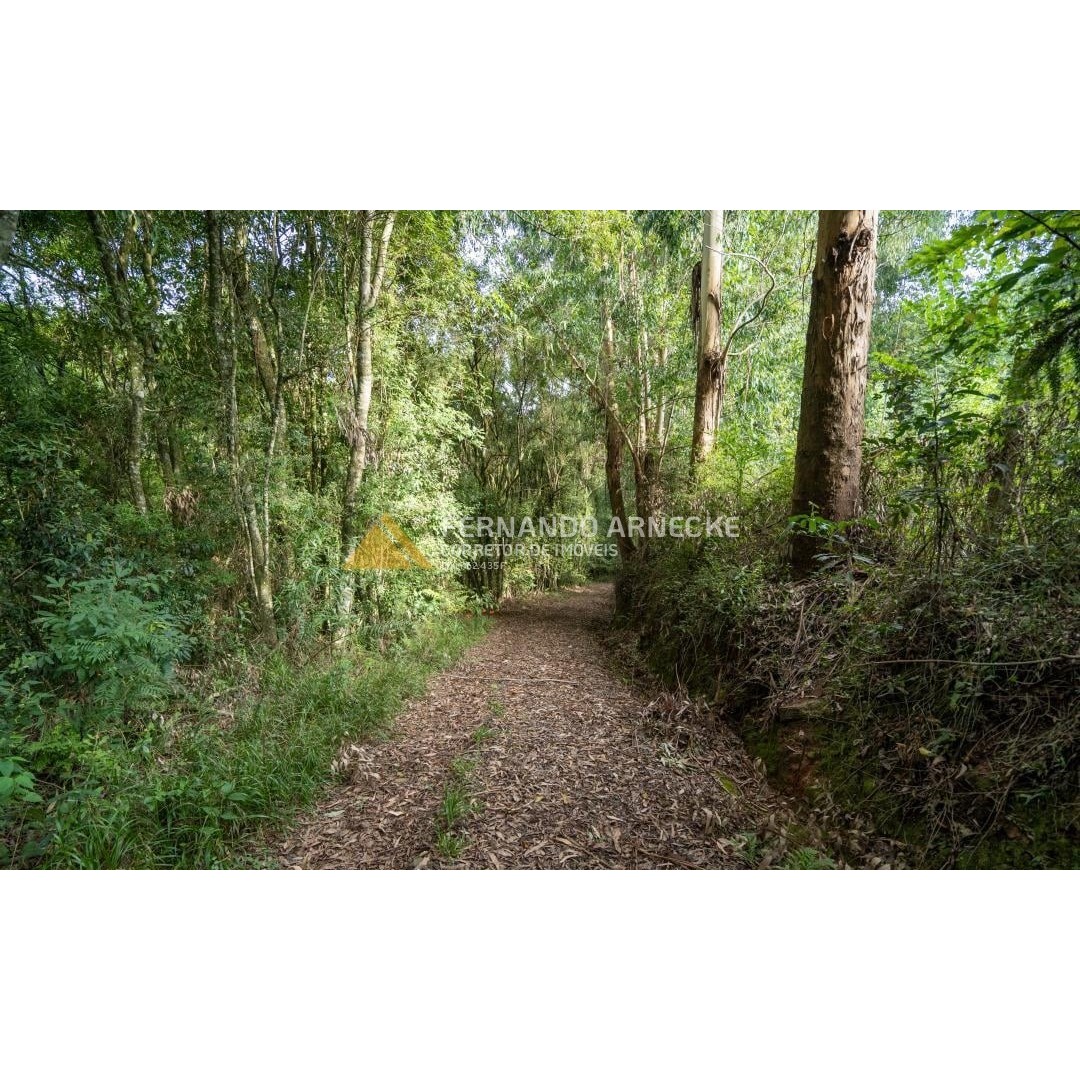 Sítio / Chácara 3 quartos para Venda no bairro Zona Rural em Santa Maria do Herval