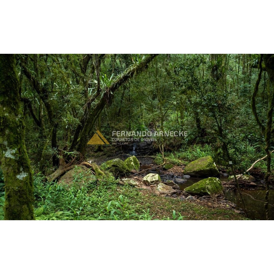 Sítio / Chácara 3 quartos para Venda no bairro Zona Rural em Santa Maria do Herval