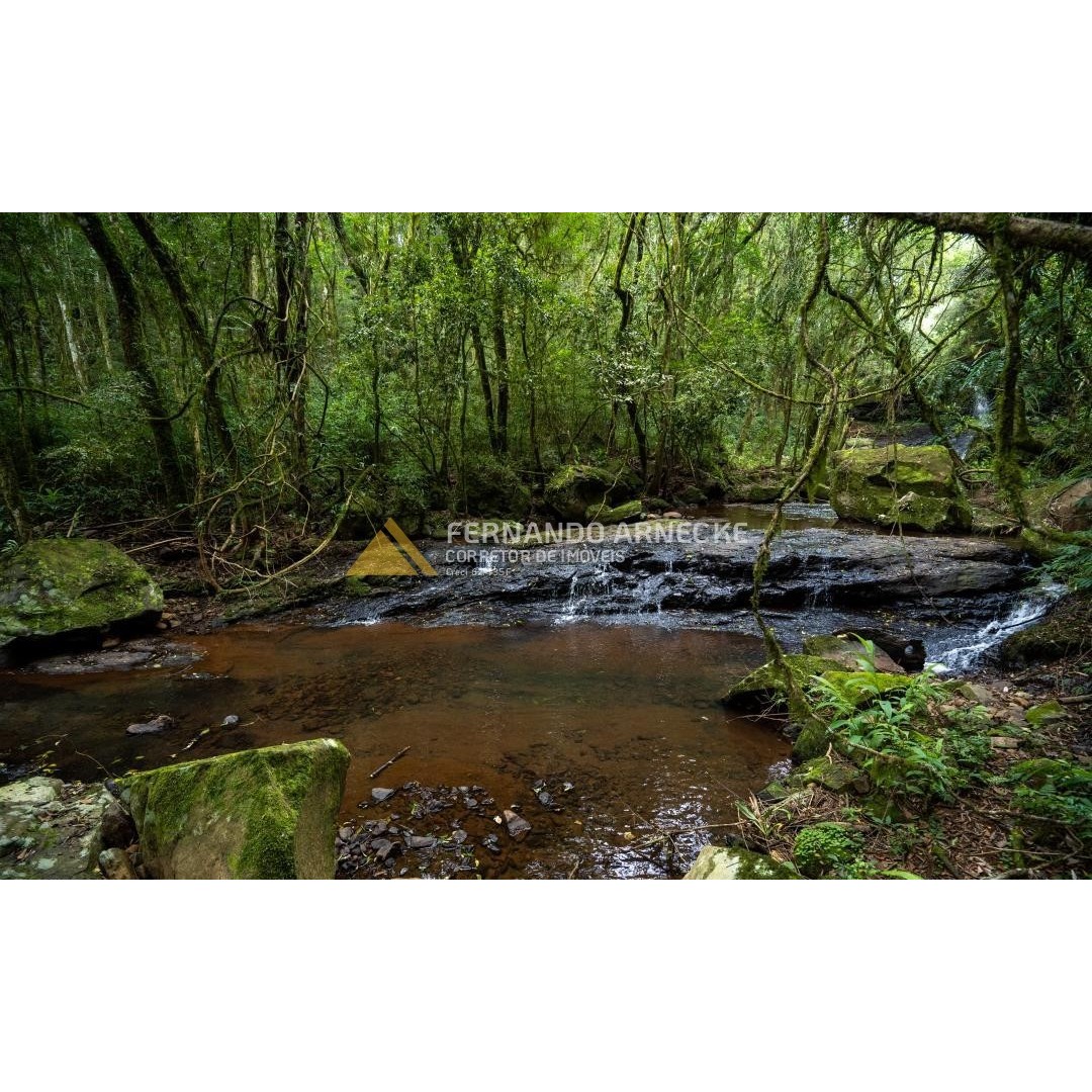 Sítio / Chácara 3 quartos para Venda no bairro Zona Rural em Santa Maria do Herval
