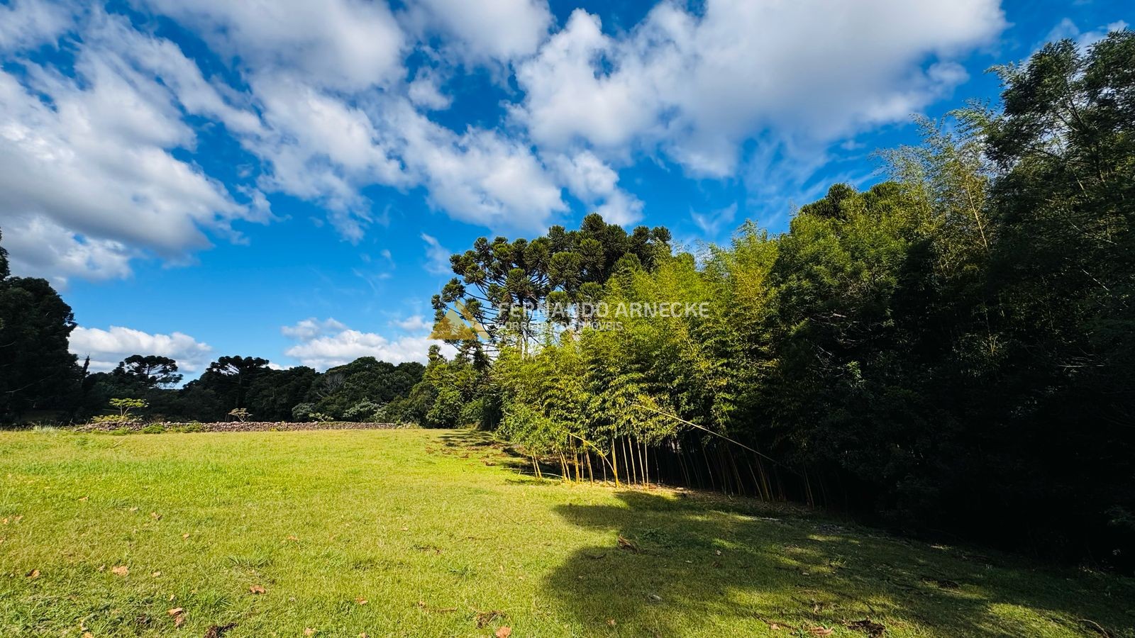 Sítio / Chácara 5 quartos para Venda no bairro Boa Vista do Herval em Santa Maria do Herval