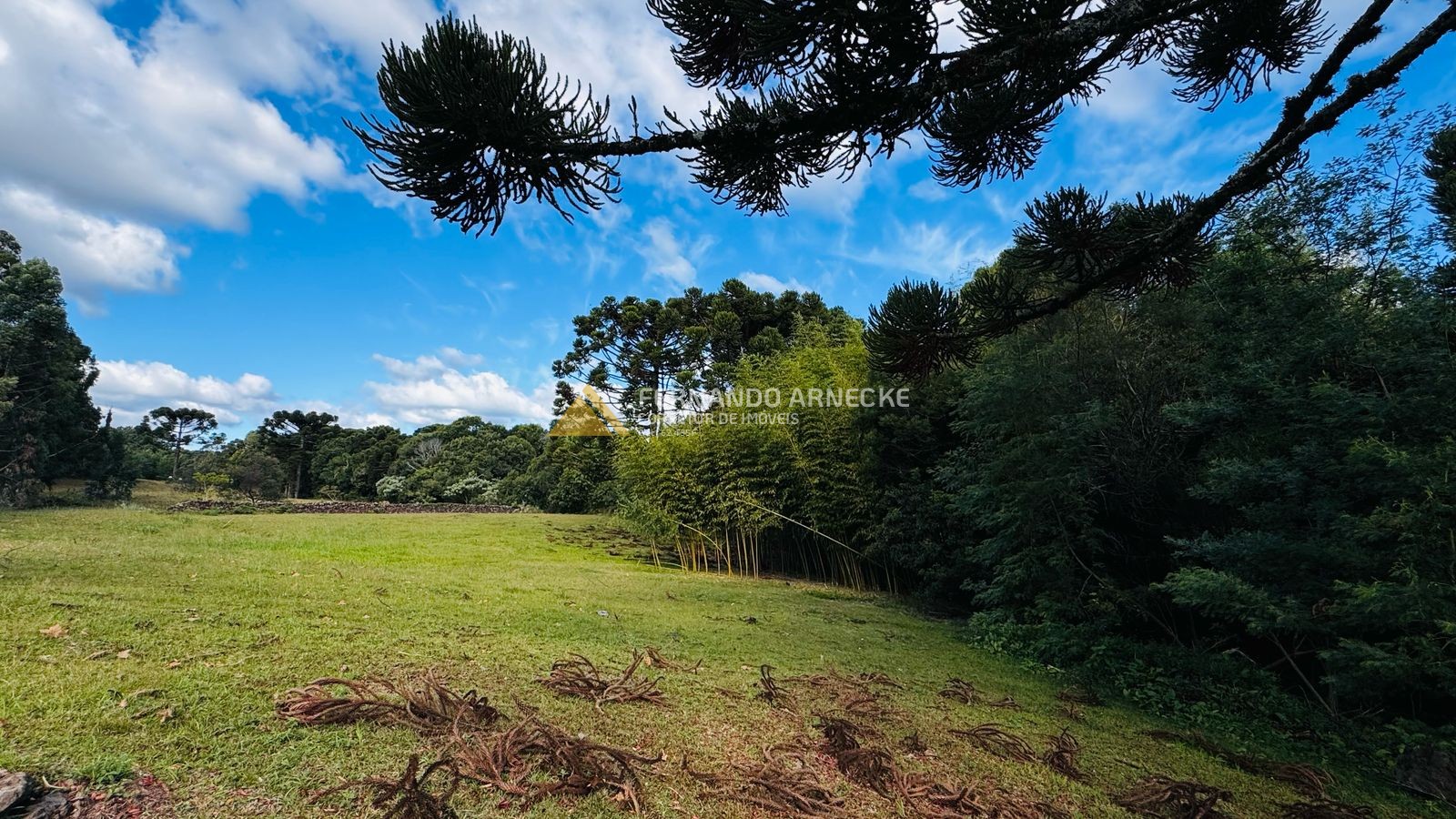 Sítio / Chácara 5 quartos para Venda no bairro Boa Vista do Herval em Santa Maria do Herval