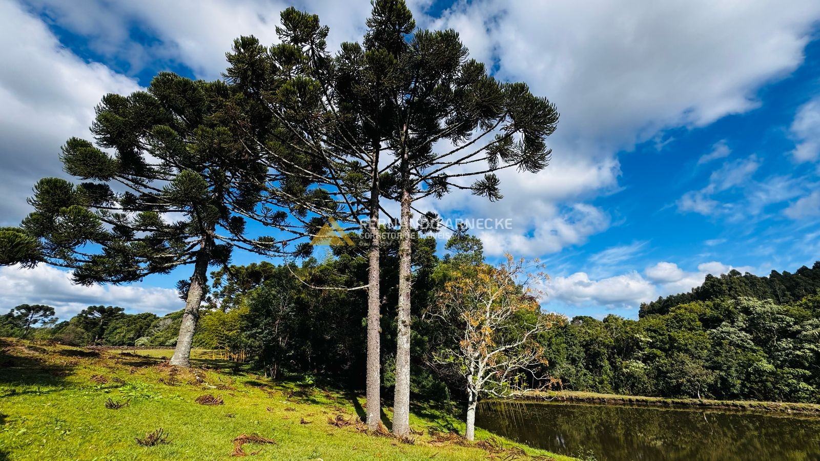 Sítio / Chácara 5 quartos para Venda no bairro Boa Vista do Herval em Santa Maria do Herval