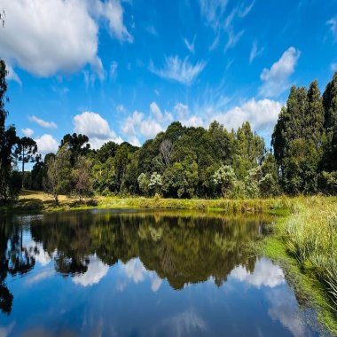 Sítio / Chácara 5 quartos para Venda no bairro Boa Vista do Herval em Santa Maria do Herval
