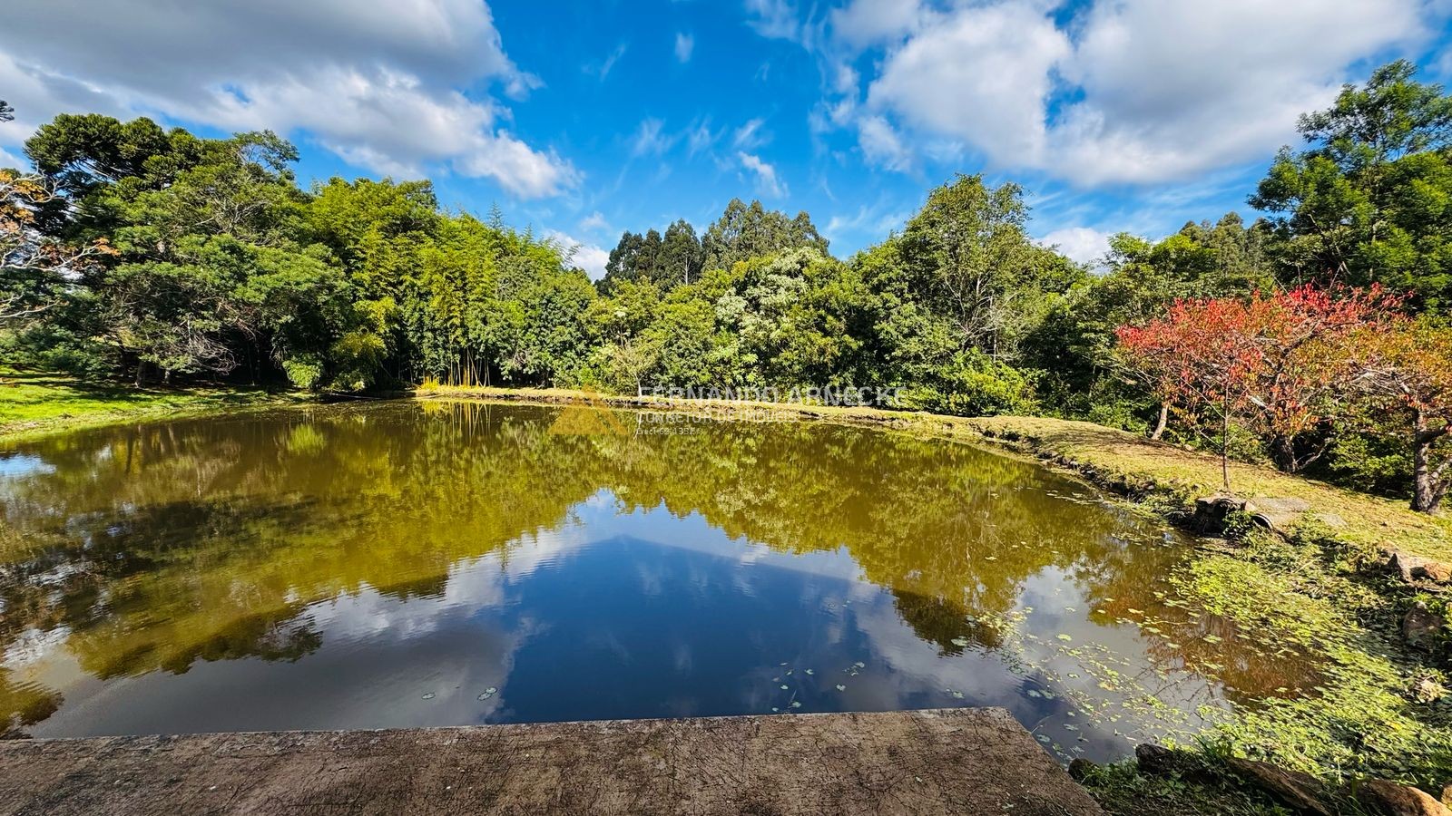 Sítio / Chácara 5 quartos para Venda no bairro Boa Vista do Herval em Santa Maria do Herval