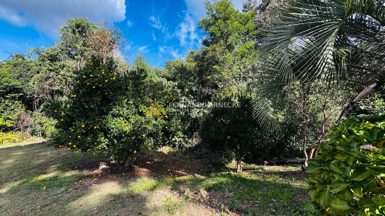 Sítio / Chácara 5 quartos para Venda no bairro Boa Vista do Herval em Santa Maria do Herval