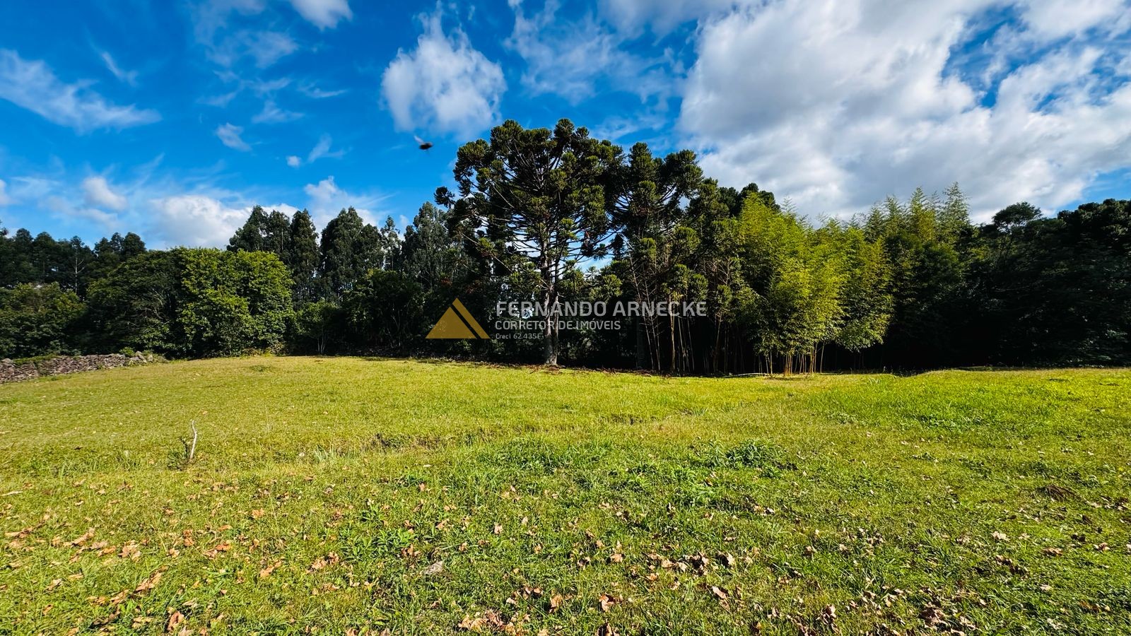 Sítio / Chácara 5 quartos para Venda no bairro Boa Vista do Herval em Santa Maria do Herval